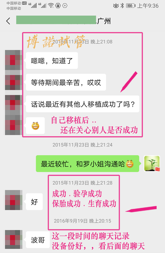 Thaim-10.jpg 中国借卵中介.jpg