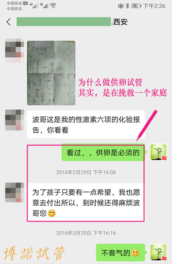 Thaim-36.jpg 中国借卵中介.jpg