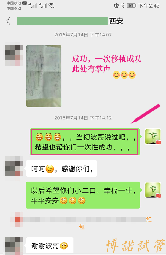 Thaim-41.jpg 中国借卵中介.jpg