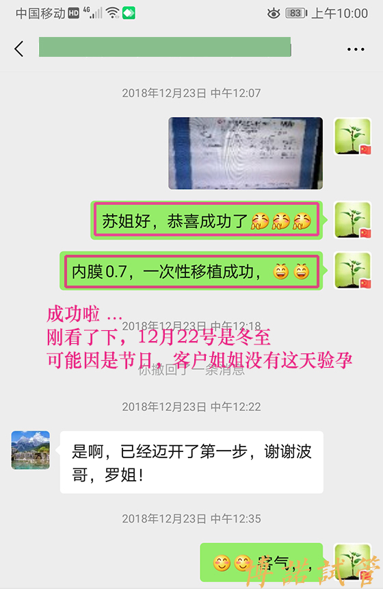 中国借卵合同.jpg