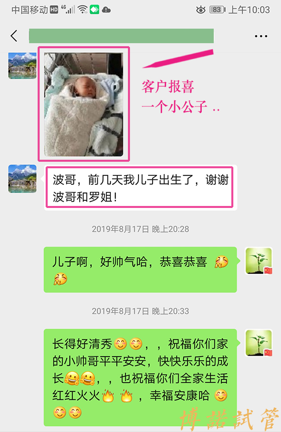 中国借卵中介.jpg