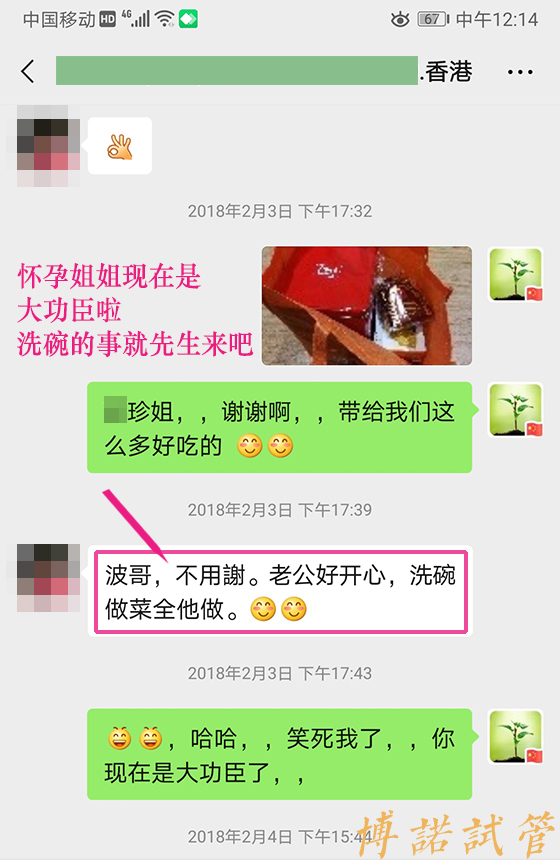 中国借卵中介.jpg