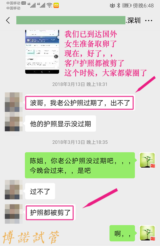 中国借卵合同.jpg