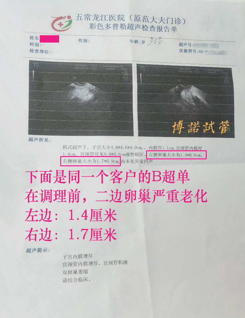 中国借卵医院.jpg