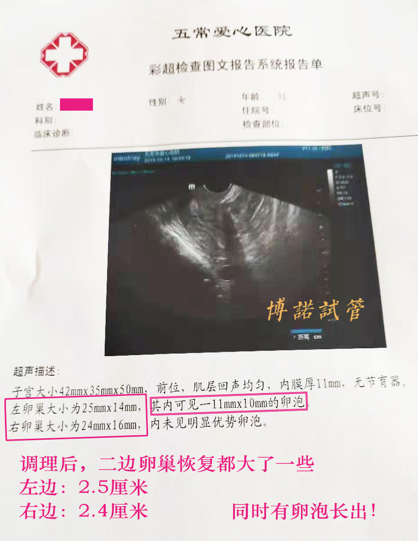 中国借卵招聘网.jpg