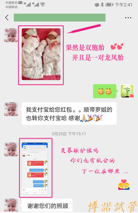 中国借卵中介.jpg