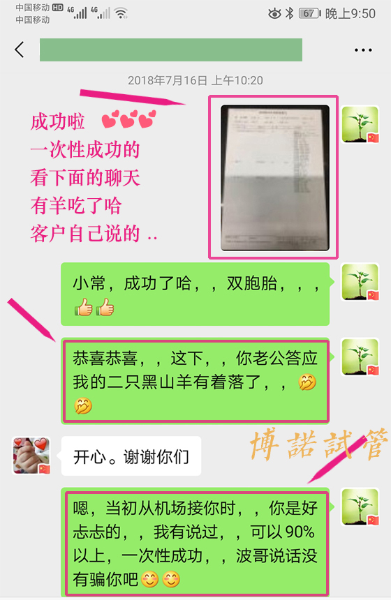 中国借卵联系方式.jpg