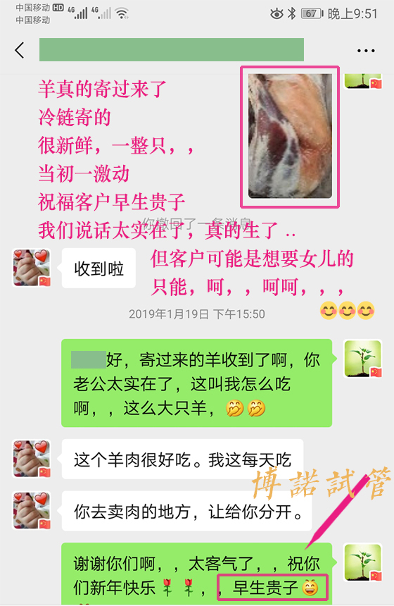 中国借卵流程详解.jpg