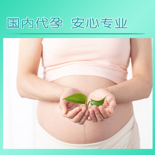 自卵代孕 . 为您托底