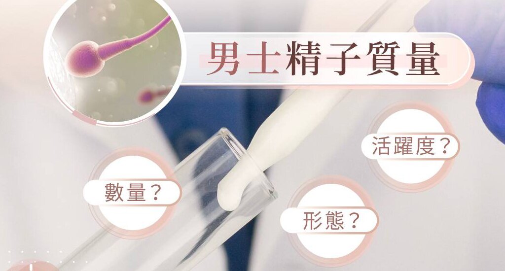 中国代孕机构：试管婴儿的实施步骤